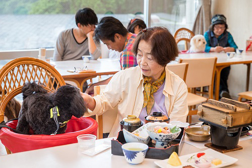 JALとイオンペット、愛犬と一緒に搭乗できる「ワンワンJETツアー」を共同企画