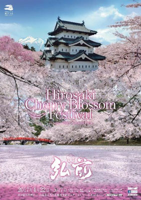 弘前公園の桜、羽田空港のJALラウンジに展示　温度管理で一足早く開花