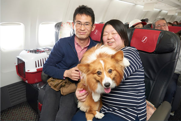 ジャルパック、愛犬と機内で過ごせる「JALワンワンJET 沖縄4日間」を抽選販売