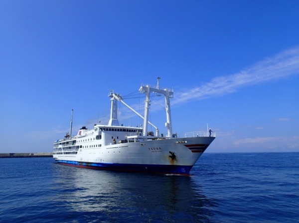 東海汽船、新元号「令和」決定記念　格安1等往復きっぷを発売　往復5,000円