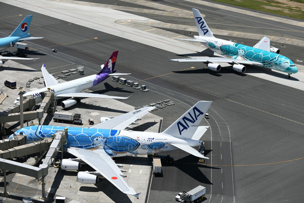 ANA、エアバスA380型機のチャーターフライト実施　GWと就航記念日の7日間