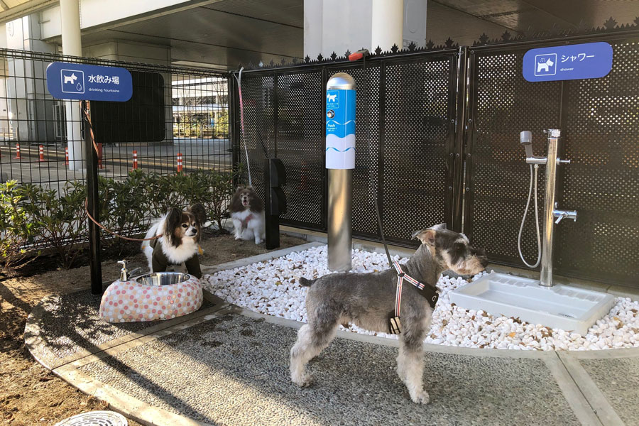 伊丹空港に「愛犬専用トイレ」設置　国内空港で初