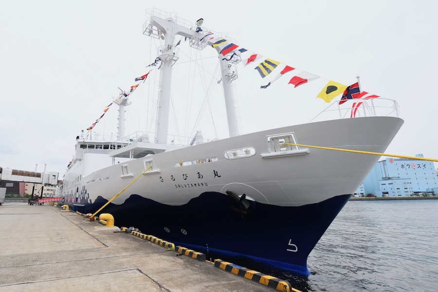 東海汽船、6月25日就航の3代目「さるびあ丸」を公開