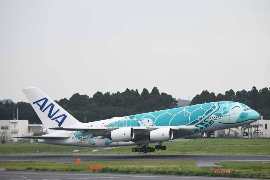 ANA、エアバスA380型機のチャーターフライトを12月12日・19日に実施
