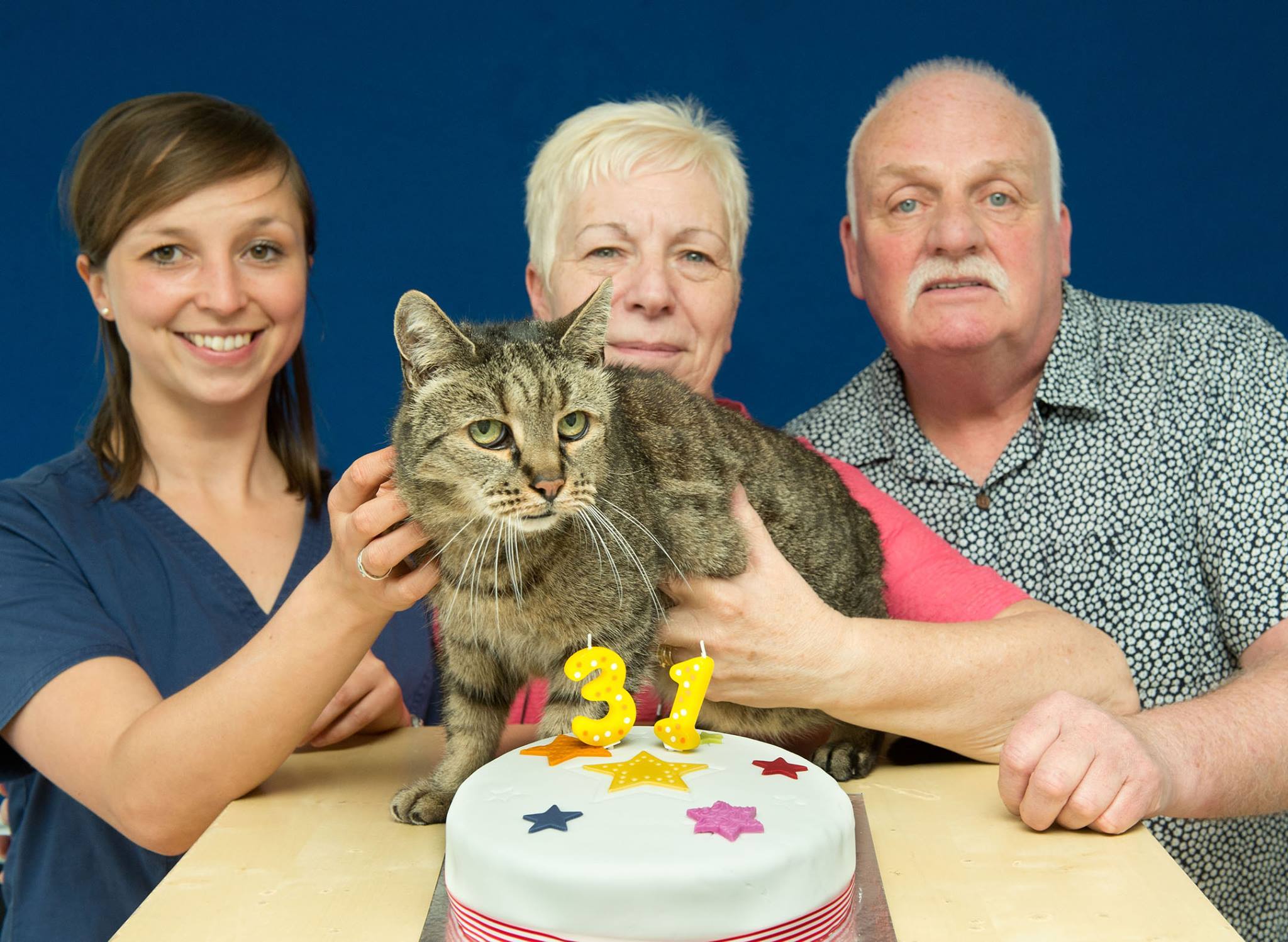 昭和生まれと思しき猫、推定31歳の誕生日を迎える