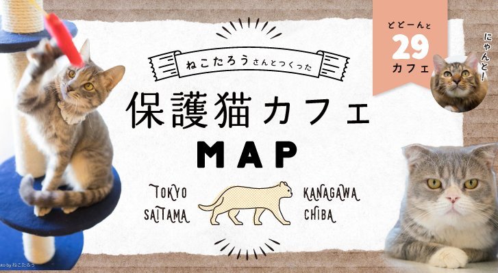 GWに行ってみたい、首都圏近郊「保護猫カフェMAP」