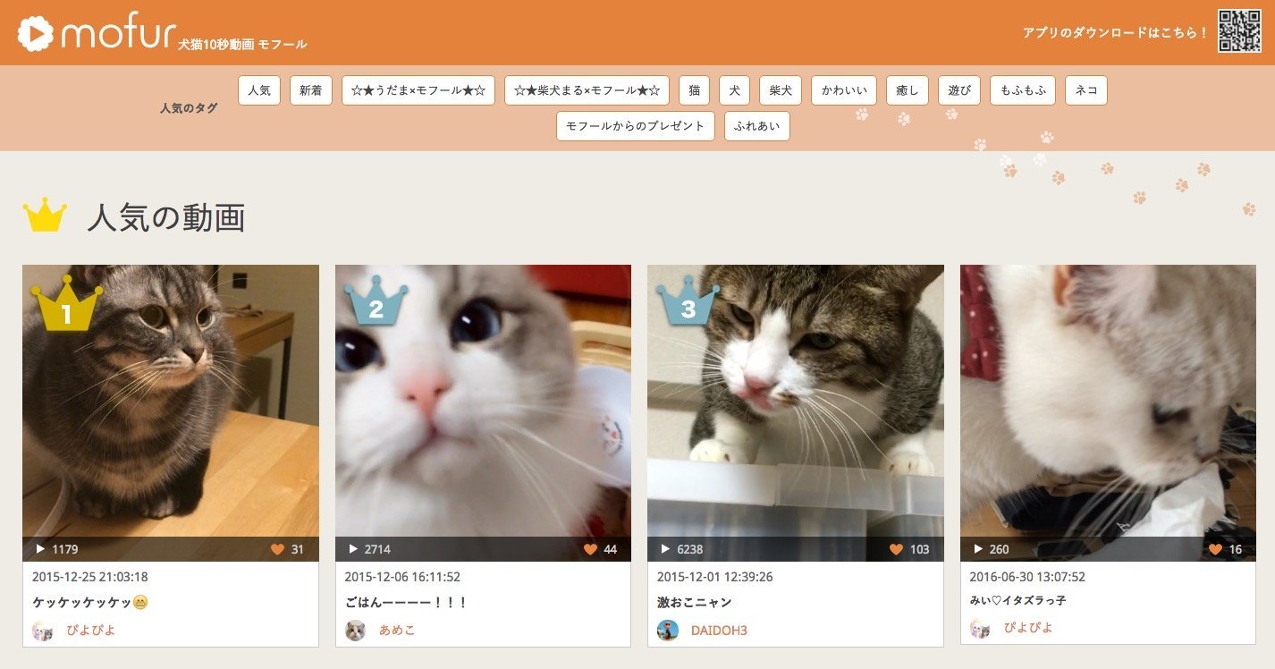 猫の10秒動画アプリ、かわいい動きにリピート必至