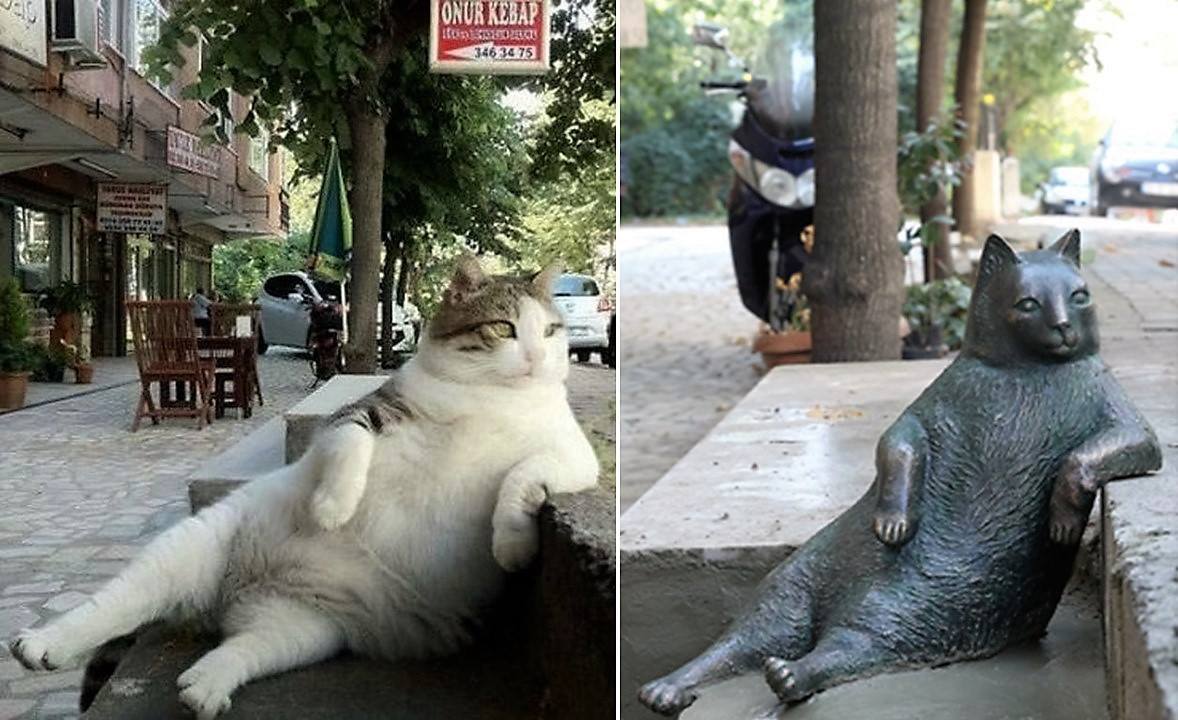 イスタンブールの路上に座るあの猫、銅像になり皆の心に生き続ける