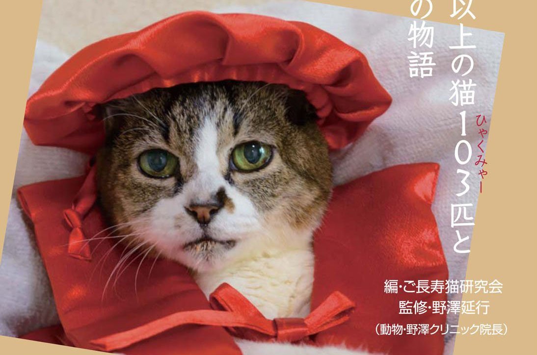 ご長寿猫の秘訣が聞ける、トークイベントが八重洲BC本店で開催