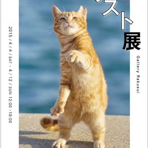 猫の写真で心を読み解く、「猫と心理テスト展」が神楽坂で開催