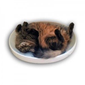 洗面台の占拠対策ソリューション、セラミック製の猫ベッド