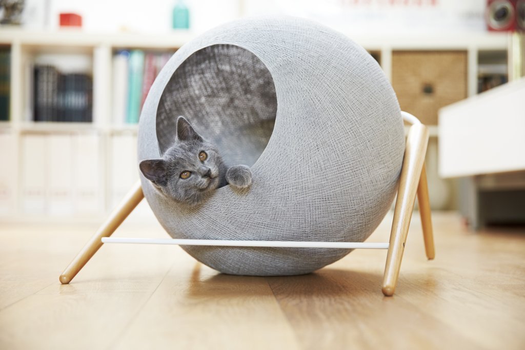 フランス発の洗練デザイン猫ベッド、日本でも2017年1月中旬販売開始に