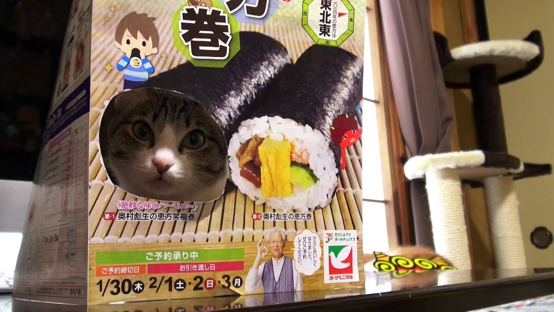 食べるのがもったいない猫恵方巻、斬新な方法で海苔に巻かれる