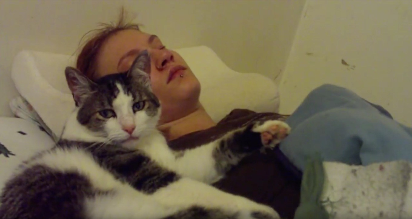 飼い主の彼女の寝込みに添い寝する猫、眠るどころか大はしゃぎ