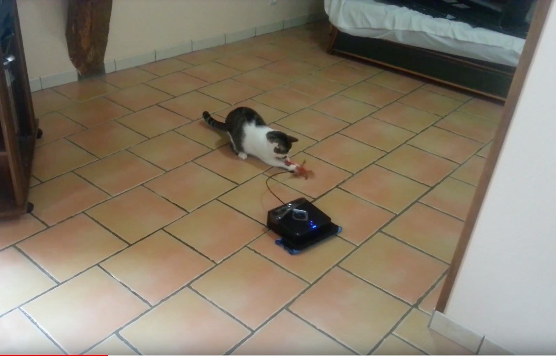 大掃除と猫の遊びを一挙に解決、床掃除ロボの新たなる可能性