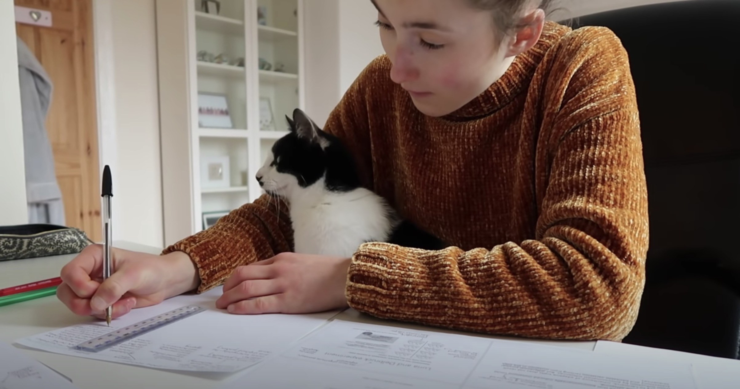 猫と暮らす自宅で2時間勉強したら、ほぼフルタイム猫と密着