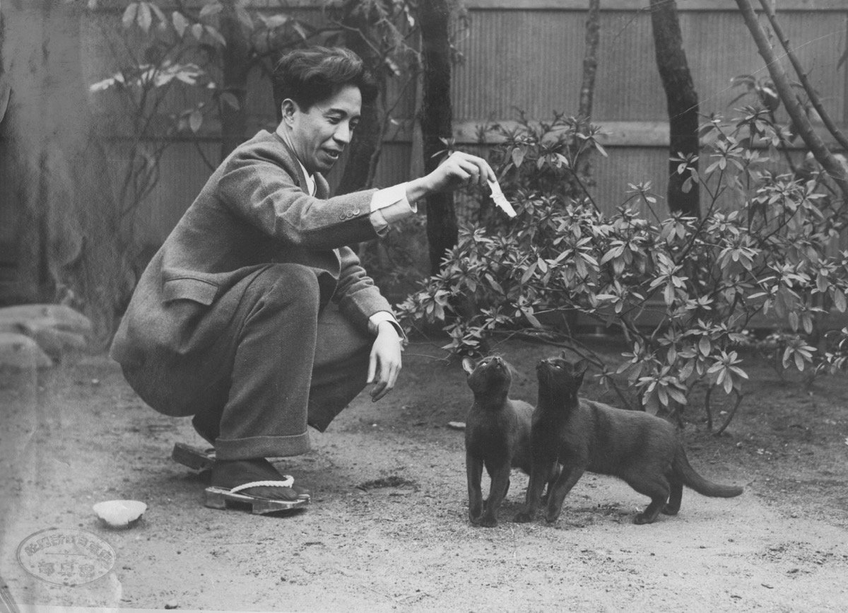 500匹以上の猫と暮らした作家の猫写真展、2/22猫の日から開催