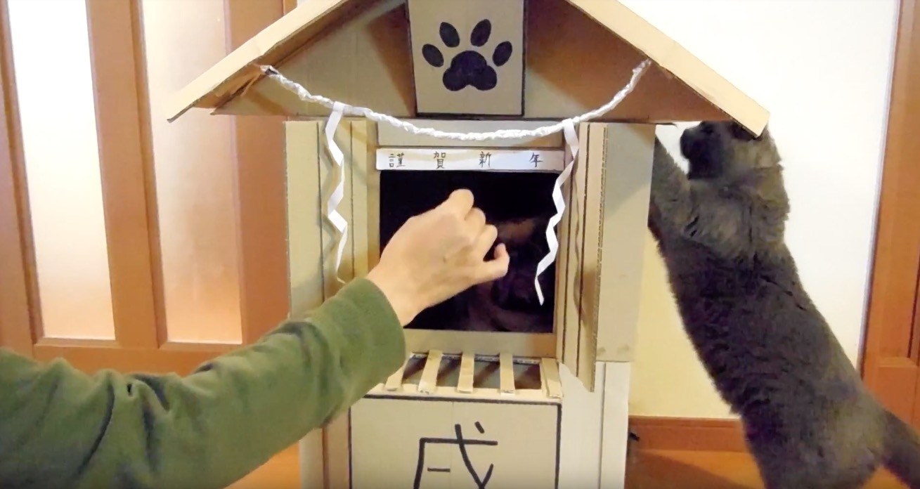 犬が坐すお手製神社、戌年記念で猫も参拝