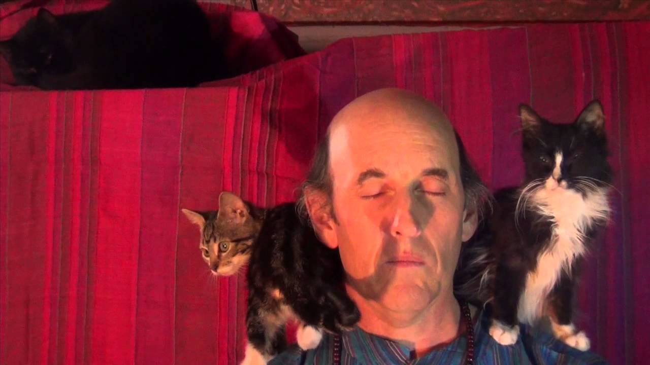 瞑想する老師がなぜか猫ホイホイ化、膝へ肩へと次から次へと