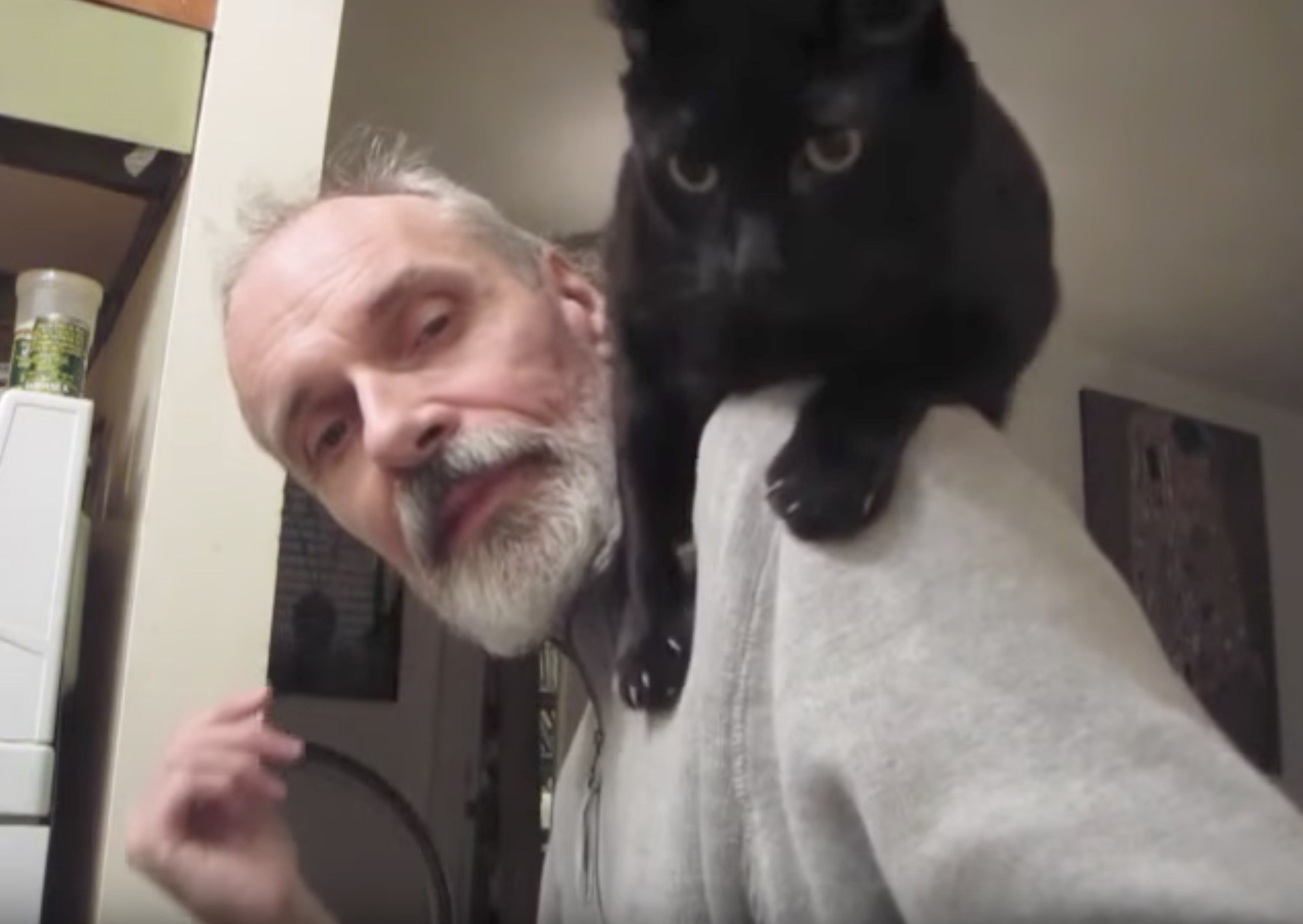 父ちゃんの肩に跳び乗る、黒猫は特等席に寛ぎ得意げ