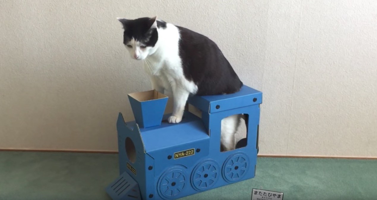 SL型の猫の爪とぎ、白煙ではなく猫がたなびく