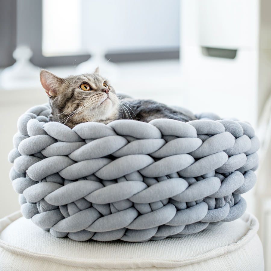 猫がまったり包まれる、極太ニットの猫ベッド