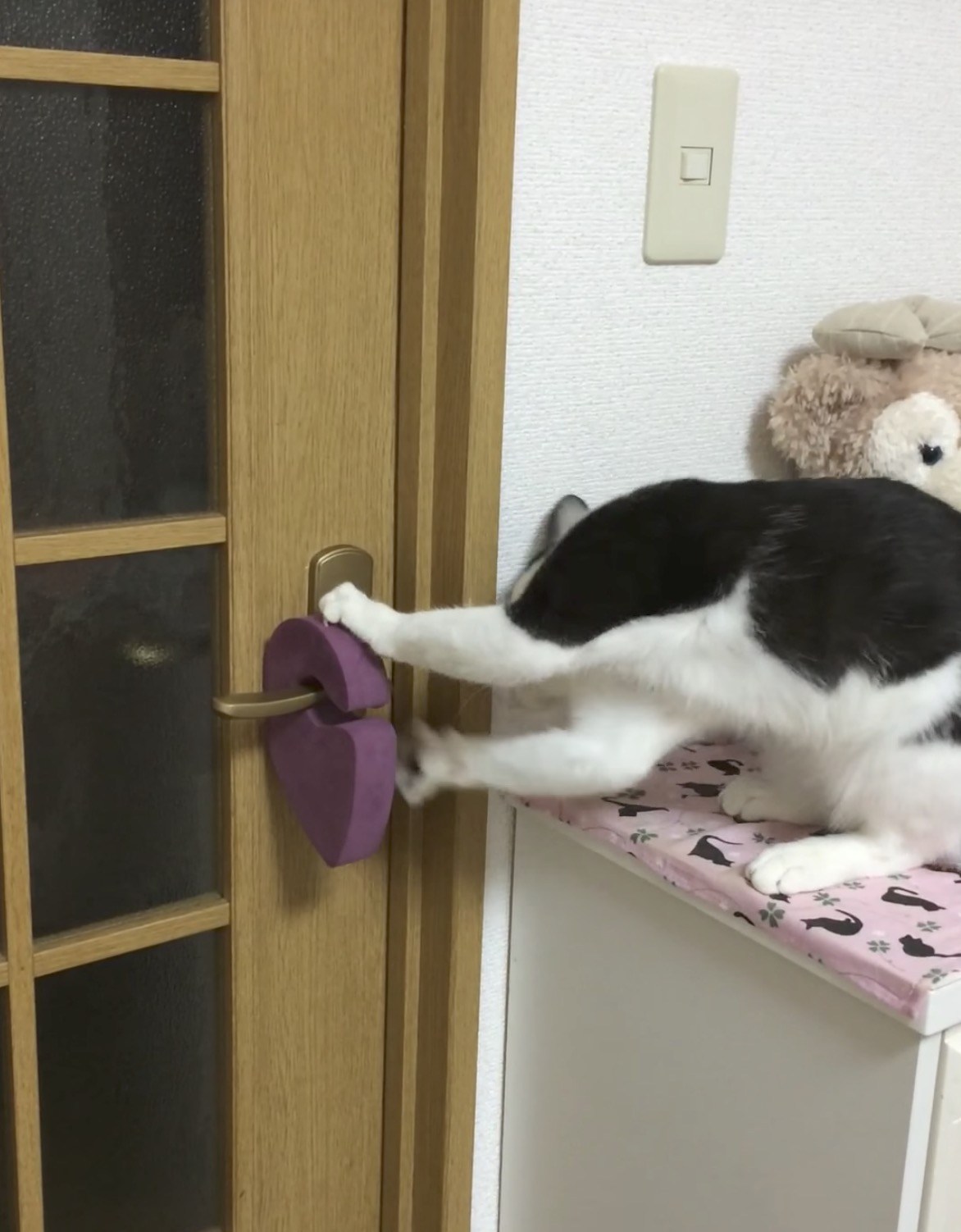 脱走防止のドアストッパー、賢い猫はくるりと回して難なく開けて