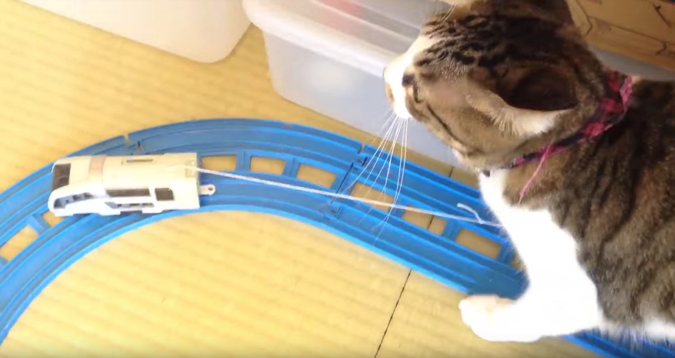 プラレールの猫オモチャ化ソリューション、小さな工夫で猫まっしぐらに