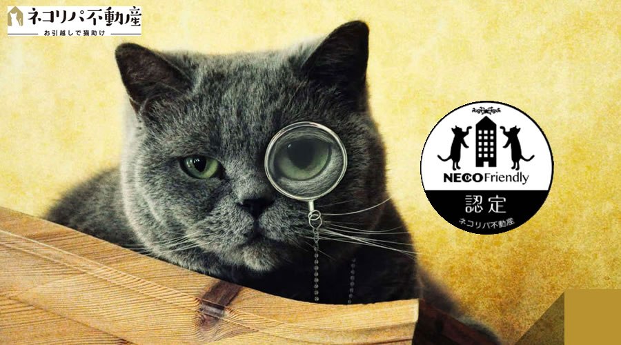 ついに”引越”で猫助けになる時代が到来。「ネコリパ不動産」がスタート