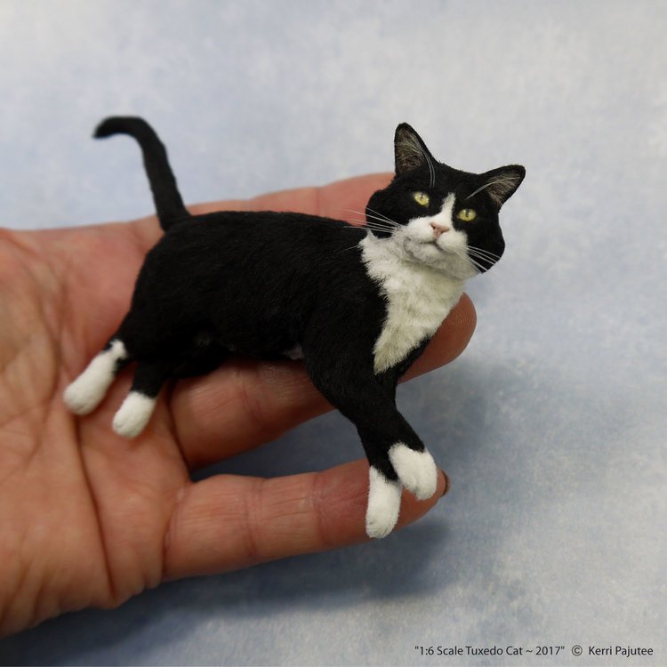 手のひらに横たわるサイズの極小猫、目を凝らしても本物に見まごう