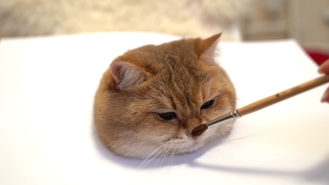 これならあなたも猫画伯に、立体感あふれまくる猫絵の描き方