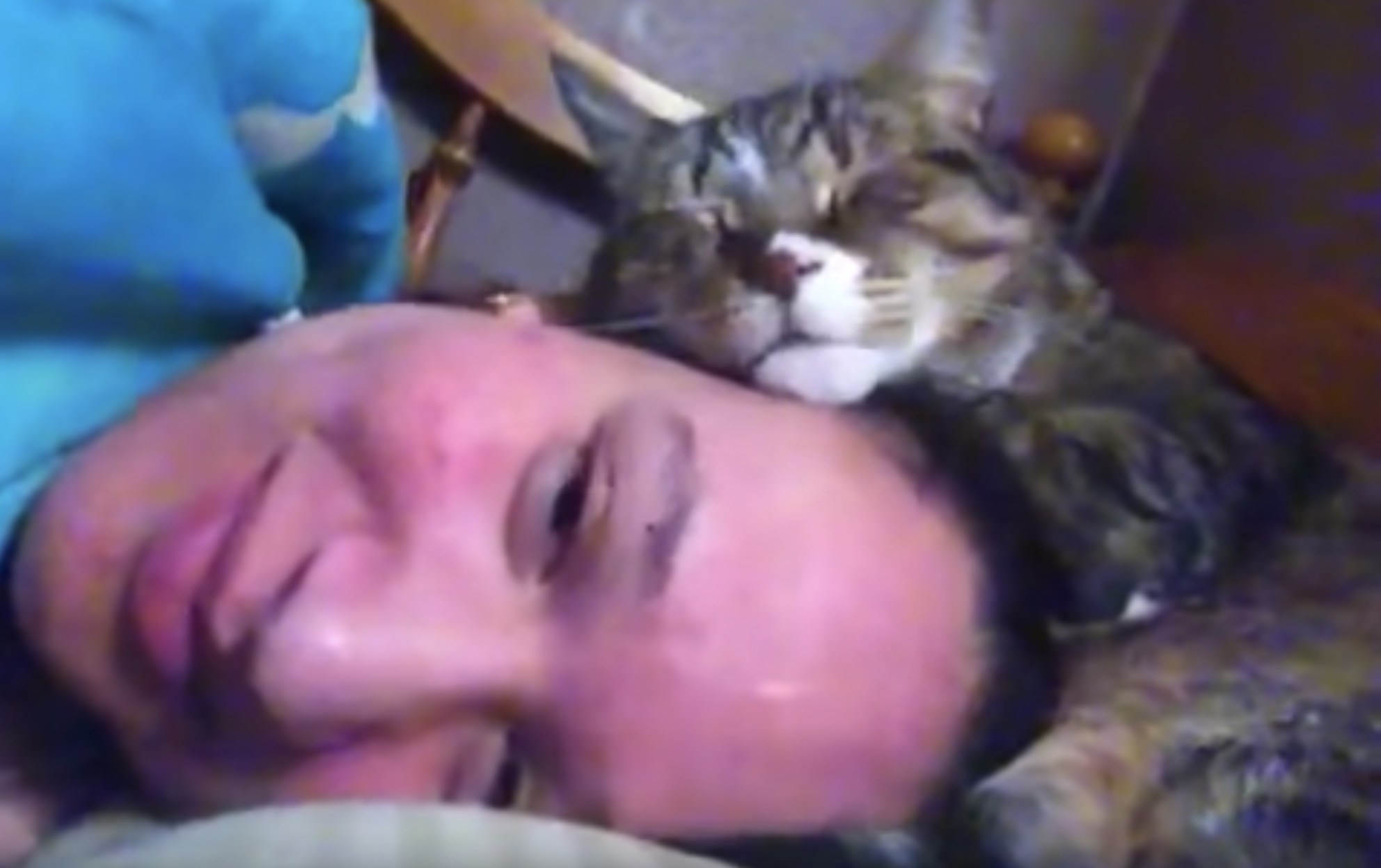 顔を寄せ猫は眠るよ人を枕に、伝わる温もり寝息とともに
