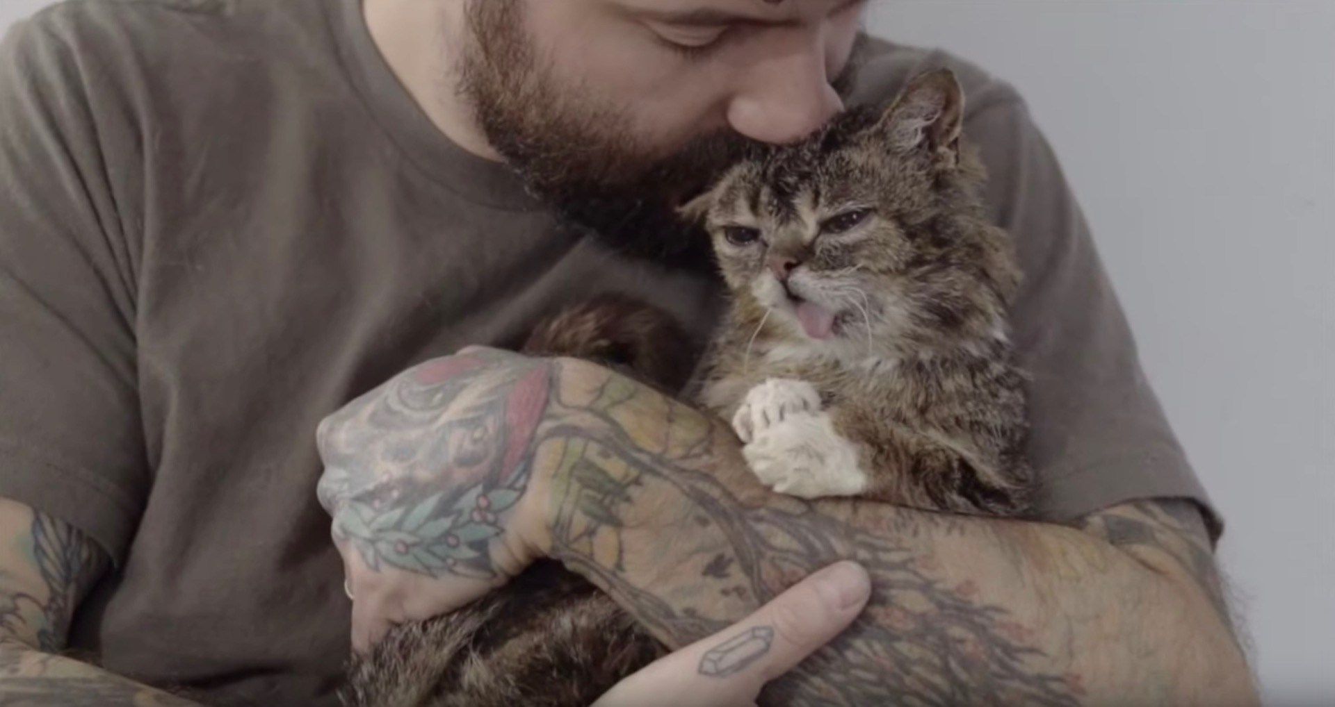 永遠の子猫Lil BUB、眠りながら天国へと旅立つ